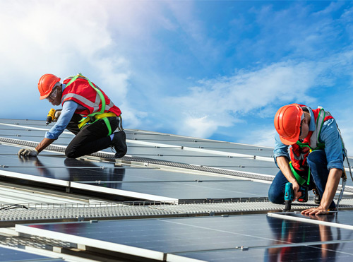 Solar Panel & Inverter